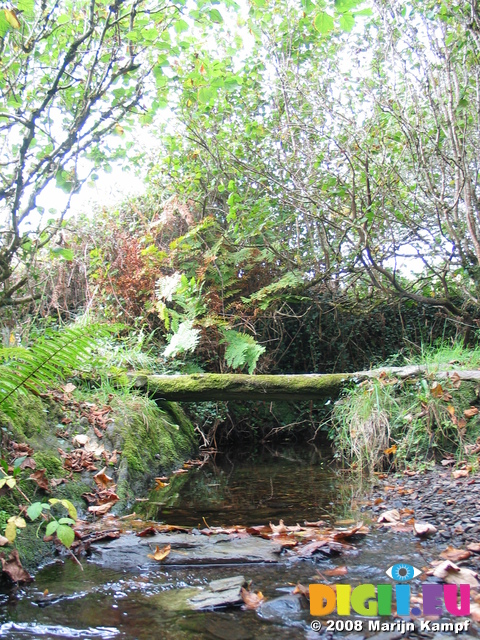 23980 Bridge over little stream